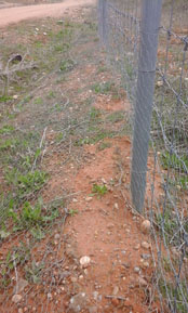 07. Malla Anticonejos